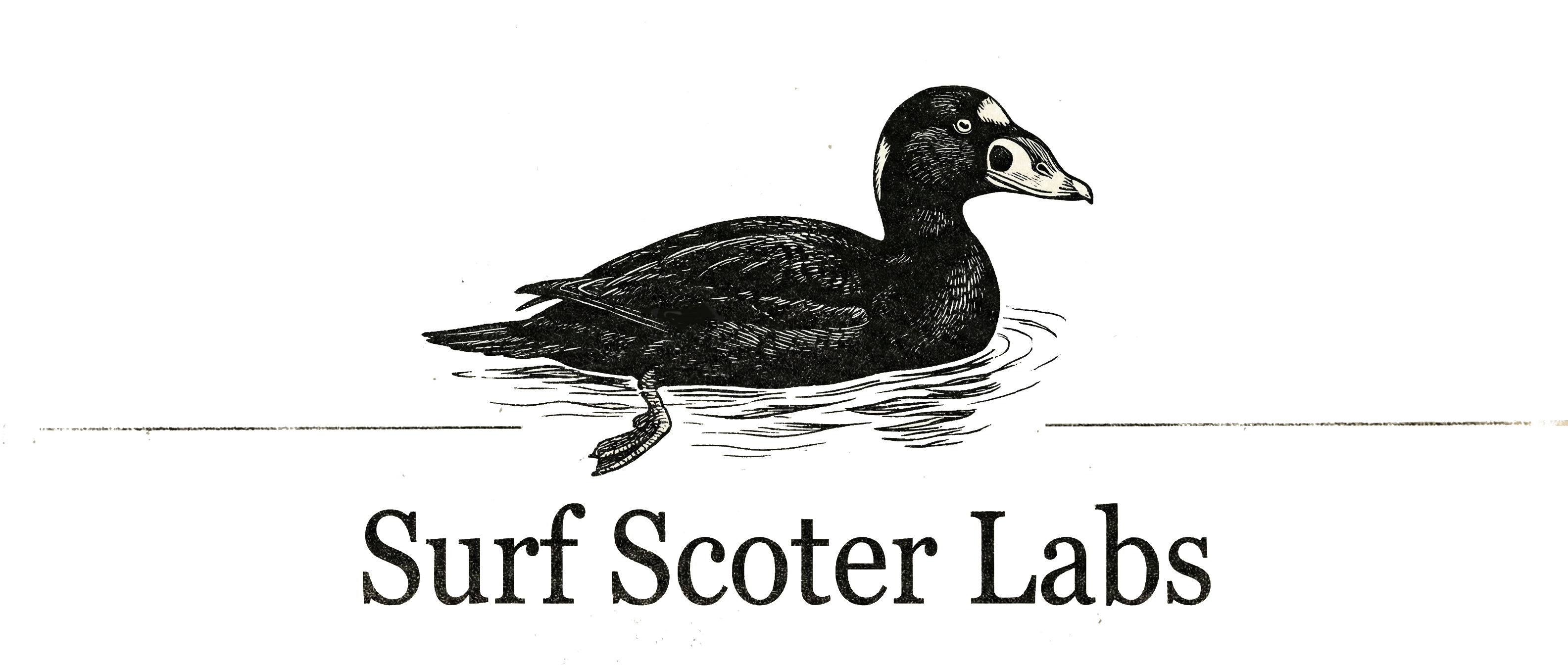 Surf Scoter Labs